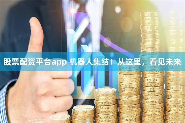 股票配资平台app 机器人集结！从这里，看见未来